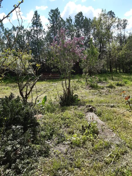 Fundeni, Calarasi,