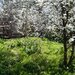 Fundeni, Calarasi,