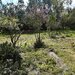 Fundeni, Calarasi,